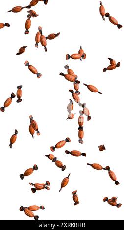 Caramelle di Halloween su sfondo trasparente verticale PNG. Foto Stock