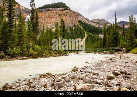 Passerella sul fiume Kicking Horse vicino alle cascate Takakkaw. Yoho National Park, Field, British Columbia, Canada Foto Stock