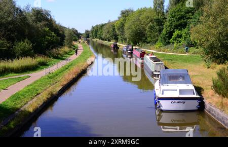 Manchester, Regno Unito, 11 agosto 2024. Soleggiato con una temperatura di 25 °C accanto al Bridgewater Canal nella campagna di Boothstown, Salford, Greater Manchester, Regno Unito. L'ufficio MET ha emesso avvisi di tempesta per seguire il clima caldo in alcune parti del Regno Unito, compresa l'Inghilterra settentrionale. Crediti: Terry Waller/Alamy Live News Foto Stock