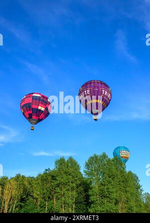 Palloncini colorati illuminati dal sole nell'ora d'oro, dalla festa in mongolfiera di Bristol del 2024 mentre passano sopra gli alberi vicino a Siston; Bristol. Scattate alle 19.45, sabato Foto Stock