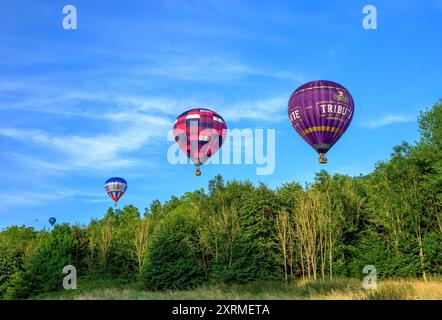 Palloncini colorati illuminati dal sole nell'ora d'oro, dalla festa in mongolfiera di Bristol del 2024 mentre passano sopra gli alberi vicino a Siston; Bristol. Scattate alle 19.45, sabato Foto Stock