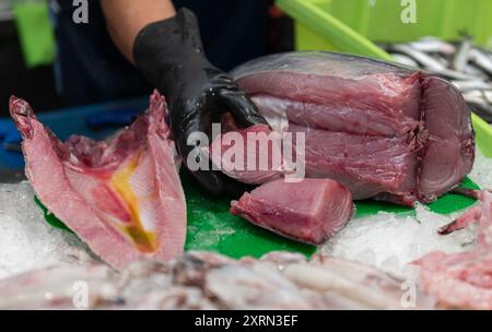 pezzi di tonno esposti in un pescivendolo Foto Stock