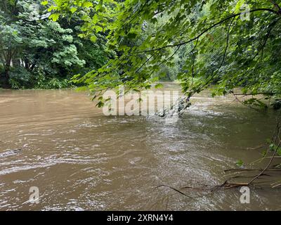 DATA RECORD NON DICHIARATA Bautzen - Hochwasserwarnung für die Spree 02.08.2024 Bautzen, Spree Fotograf: LausitzNews.de Aufgrund der Starkniederschläge besonders heute Früh ab 04:00 Uhr ist die Wasserführung vor allem im Oberlauf der Spree und des Löbauer Wassers sehr schnell angestiegen. AM Pegel Großschweidnitz am Löbauer Wasser wurde um 10:45 Uhr der Richtwert der Alarmstufe 1, um 11:45 Uhr kurz der Richtwert der Alarmstufe 2 überschritten. DAS Überschreiten des Richtwertes der Alarmstufe 3 wird hier nicht erwartet. AM Pegel Gröditz am Löbauer Wasser wird der Richtwert der Alarmstufe 1 am frühe Foto Stock