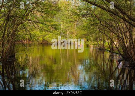 Una foto paesaggistica di un ambiente tranquillo vicino a un lago scattata nel parco statale Allaire in primavera. Foto Stock
