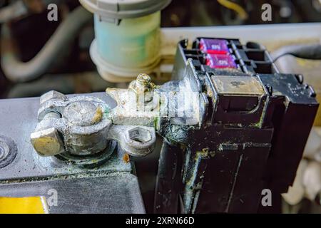 Un terminale della batteria corroso su una batteria di un'auto. Il terminale è bianco e corroso. Vista ravvicinata. Foto Stock