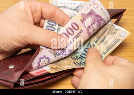 I soldi dell'Ungheria. Mano che porta i soldi fuori dal portafoglio. Sentenze ungheresi, concetto finanziario Foto Stock