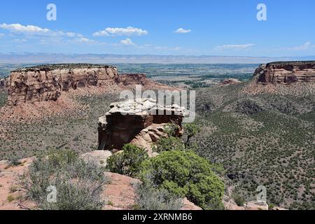 Vista panoramica del Colorado National Monument nelle giornate estive limpide e soleggiate con la città di Fruita, Colorado visibile sullo sfondo. Foto Stock