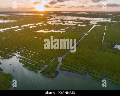 Vista aerea delle zone umide lungo Løgstør Bredning, nel nord dello Jutland, Danimarca Foto Stock