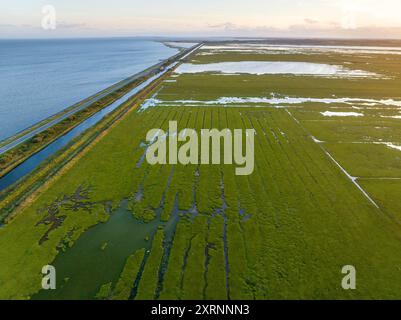 Vista aerea delle zone umide lungo Løgstør Bredning, nel nord dello Jutland, Danimarca Foto Stock