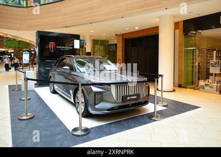 silver Hongqi e-HS9 SUV elettrico full-size di lusso, marchio cinese Hongqi in Studio, trasporto a emissioni zero, innovazione per auto elettriche, Francoforte, G. Foto Stock