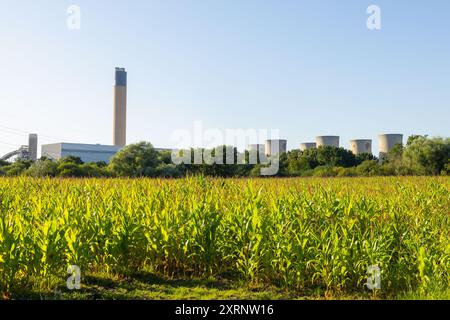 Selby, Regno Unito. 11 AGOSTO 2024. Drax da tutti i campi, mentre circa 50 manifestanti si sono riuniti per manifestare contro la centrale elettrica Drax, affermano che le centrali che utilizzano "pellet di legno" come sostituto del carbone stanno causando la deforestazione di massa, ciò accade quando a Drax è stata concessa un'ingiunzione contro i manifestanti del clima e 22 membri del gruppo Recorder The Power sono stati arrestati preventivamente prima di un pianificato squat di più giorni a Drax. Credito Milo Chandler/Alamy Live News Foto Stock