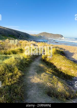 Viste panoramiche verso Rosetta Head o la scogliera dalle spiagge lungo il Victor Harbor Heritage Trail sulla penisola Fleurieu nell'Australia meridionale Foto Stock