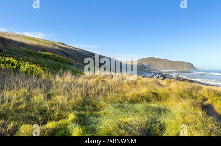 Viste panoramiche verso Rosetta Head o la scogliera dalle spiagge lungo il Victor Harbor Heritage Trail sulla penisola Fleurieu nell'Australia meridionale Foto Stock