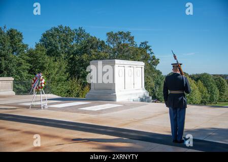 Sentinella della Vecchia Guardia presso la Tomba del Milite Ignoto al Cimitero di Arlington Foto Stock