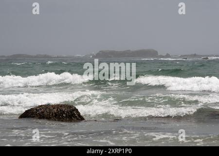 Maree turbolente in una giornata nebbiosa in spiaggia Foto Stock