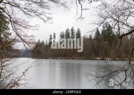 Parco Bärenschlössle a Stoccarda, Baden-Württemberg, Germania Baden-Württemberg, durante l'inverno Foto Stock