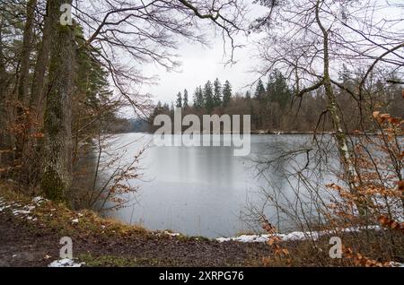 Parco Bärenschlössle a Stoccarda, Baden-Württemberg, Germania Baden-Württemberg, durante l'inverno Foto Stock