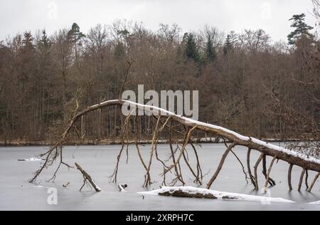 Parco Bärenschlössle a Stoccarda, Baden-Württemberg, Germania Baden-Württemberg, durante l'inverno Foto Stock