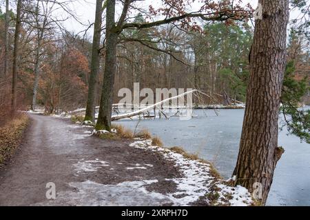 Parco Bärenschlössle a Stoccarda, Baden-Württemberg, Germania Baden-Württemberg, durante l'inverno Foto Stock