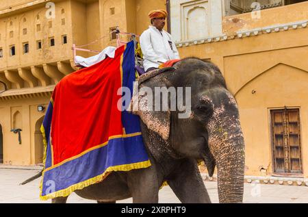 L'uomo indiano che cavalca un elefante al Fort dell'ambra a Jaipur, India Foto Stock