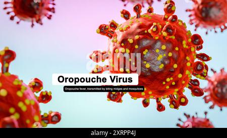 Virus Oropouche che causa la febbre Oropouche, una malattia emergente dalle Americhe Foto Stock