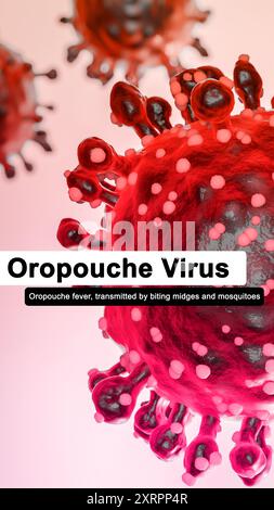 Virus Oropouche che causa la febbre Oropouche, una malattia emergente dalle Americhe Foto Stock