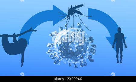 Virus Oropouche che causa la febbre Oropouche, una malattia emergente dalle Americhe Foto Stock