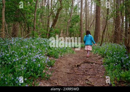 Piccola ragazza che cammina da sola su un sentiero fiancheggiato da fiori nel bosco Foto Stock