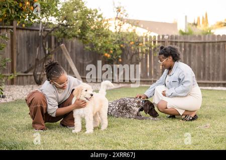 Due signore accarezzano due cani nell'erba Foto Stock