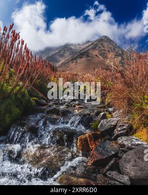 Incredibile paesaggio panoramico con un limpido ruscello fluviale, la valle arancione autunnale delle montagne Tien Shan in Kazakistan in autunno Foto Stock