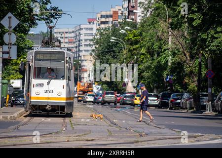 Bucarest, Romania - 07 agosto 2021: Un vecchio tram per le strade di Bucarest. Trasporti pubblici. Foto Stock