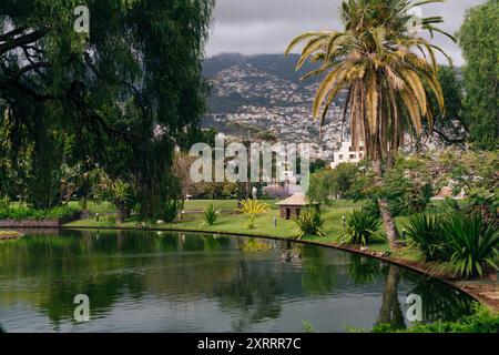 Funchal, Madeira - 25 giugno 2023: Parco cittadino tropicale di Santa Catarina giardini di Funchal, isola di Madeira, Portogallo. Foto di alta qualità Foto Stock