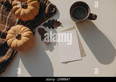 Stile di vita autunnale con zucche e foglie di quercia essiccate. Comoda area di lavoro. Tazza di caffè, a scacchi, telo da tè su un tavolo bianco Foto Stock