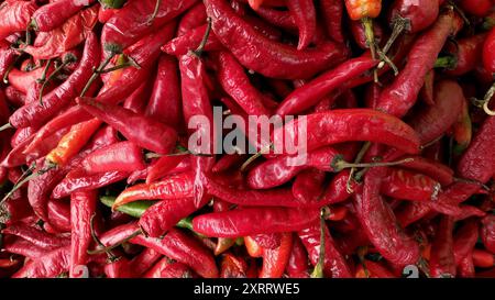Trama dettagliata e motivo pepe rosso (Pimenta Dedo-de-moc) sfondo Foto Stock