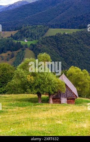 Fienile rumeno montagne Bucegi Foto Stock