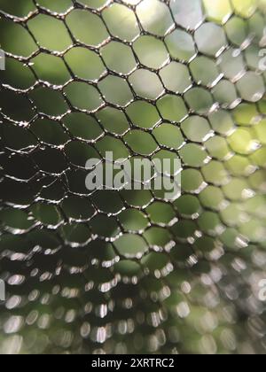 Primo piano di uno schermo mesh con sfondo verde. La rete è bagnata e lucida. La mesh è realizzata in metallo e presenta una ripetizione di quadrati Foto Stock