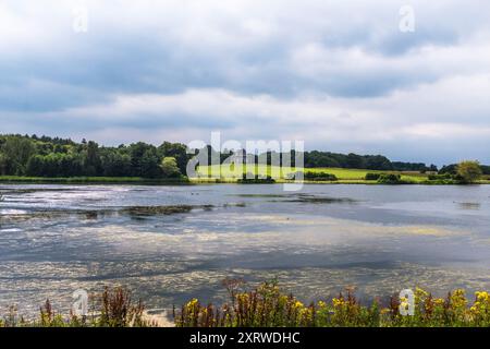 Il lago e sullo sfondo il Tempio di Minerva a Hardwick Park, Sedgefield, Co.Durham, Inghilterra, Regno Unito Foto Stock