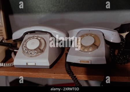 Due telefoni rotativi vintage si trovano fianco a fianco su uno scaffale. Foto Stock