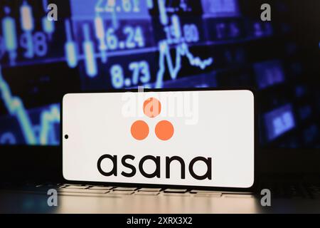 Paraguay. 12 agosto 2024. In questa immagine, il logo Asana, Inc. Viene visualizzato sullo schermo di uno smartphone. Credito: SOPA Images Limited/Alamy Live News Foto Stock