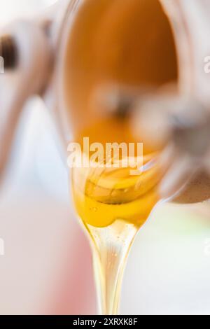 Viscouse Golden Bee Honey che scorre fuori Extreme primo piano Foto Stock