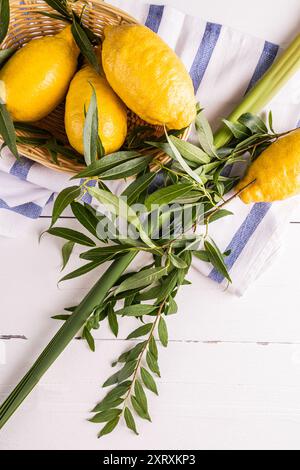 Sfondo festivo verticale della festa ebraica di Sukkot con simboli tradizionali della festa della gioia e del raccolto. etrog, salice , rami di palma. Foto Stock