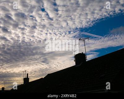 La prima luce con il suggestivo paesaggio altocumulus sopra il mio villaggio natale, Radley, nell'Oxfordshire, illumina case e tetti. Mi piace guardare il cielo. Quello che vedi è spesso bello, e in continuo cambiamento; non vedi mai lo stesso cielo due volte. Camminando per la maggior parte dei posti, di solito sembro essere l'unica persona che guarda in alto; tutti gli altri sono a testa bassa, e si occupano dei loro affari quotidiani. Non sanno cosa si stanno perdendo... Foto Stock