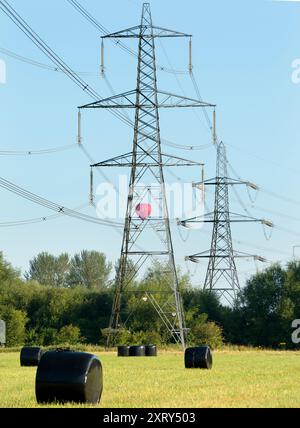 Piloni e pallone di passaggio a Kennington Meadows. Sono sempre stato affascinato dai nostri piloni britannici - quelle che in gran parte del mondo sarebbero chiamate torri di trasmissione. Marciando attraverso il paesaggio, hanno un impatto visivo così forte e sorprendente. Si trova a Kennington Meadows, tra Oxford e Abingdon, e una mongolfiera si aggira maestosamente nelle prime ore del mattino. Ma quali sono esattamente le misteriose luccicanti borse nere? Sfortunatamente, non sono escrementi alieni giganti. In realtà contengono insilato di balle per l'alimentazione del bestiame; per prima cosa, prendete il tradizionale rotolo di fieno e avvolgetelo in plastica A. Foto Stock