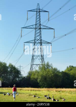 Piloni giganti sul Tamigi a Kennington, che fanno da baluardo solitario e gregge di oche Greylag sottostanti. Sono sempre stato affascinato dai nostri piloni britannici - quelle che in gran parte del mondo sarebbero chiamate torri di trasmissione. Marciando attraverso il paesaggio, hanno un impatto visivo così forte e sorprendente. Questi si trovano su Kennington Meadows, sul tratto del fiume Tamigi tra Oxford e Abingdon. Foto Stock