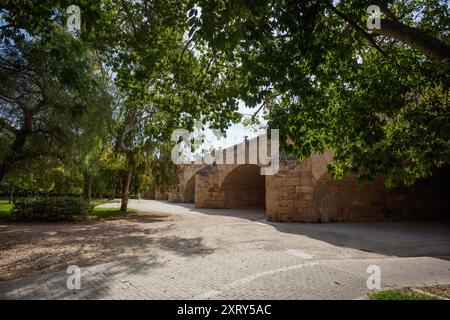 Ponte sul Jardin del Turia, il parco di Valencia dal vecchio letto del fiume Foto Stock