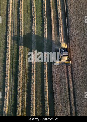 Munstone, Hereford, Herefordshire, Regno Unito - lunedì 12 agosto 2024 - Meteo Regno Unito - Vista aerea degli agricoltori che lavorano fino a tarda sera ( ore 19:30 circa ) raccolta del grano e della paglia a Munstone, appena fuori dalla città di Hereford - dopo diversi giorni di caldo e secco, è prevista la pioggia per l'Herefordshire martedì 13 agosto - foto Steven May / Alamy Live News Foto Stock