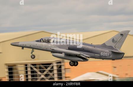 Czech Air Force L-159 ALCA, partenza il giorno delle partenze presso il Royal International Air Tattoo Foto Stock