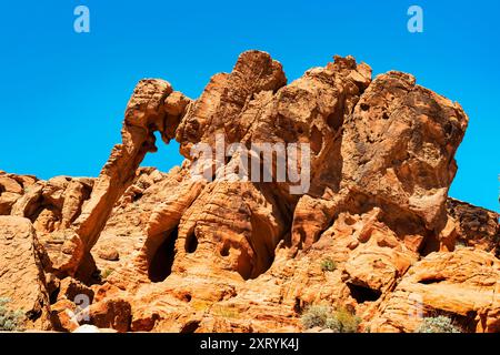 Elephant Rock, Valley of Fire State Park, Mojave Desert, Nevada Foto Stock