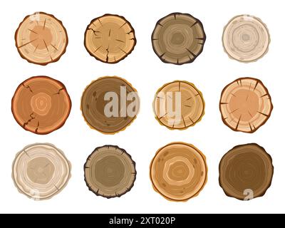 Tronchi in legno. Anelli di alberi annuali, ceppi, vista dall'alto, trame circolari, sezioni trasversali di tronchi, materiali di legname, fette rotonde, alberi diversi, cartoni animati Illustrazione Vettoriale