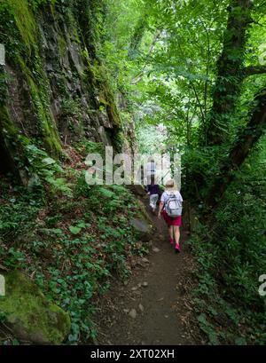 Gli escursionisti camminano lungo il sentiero di montagna fino alla cascata in Abkhazia, gente nella foresta buia in estate. Concetto di escursione, avventura, natura selvaggia, trekking, paesaggio, Foto Stock
